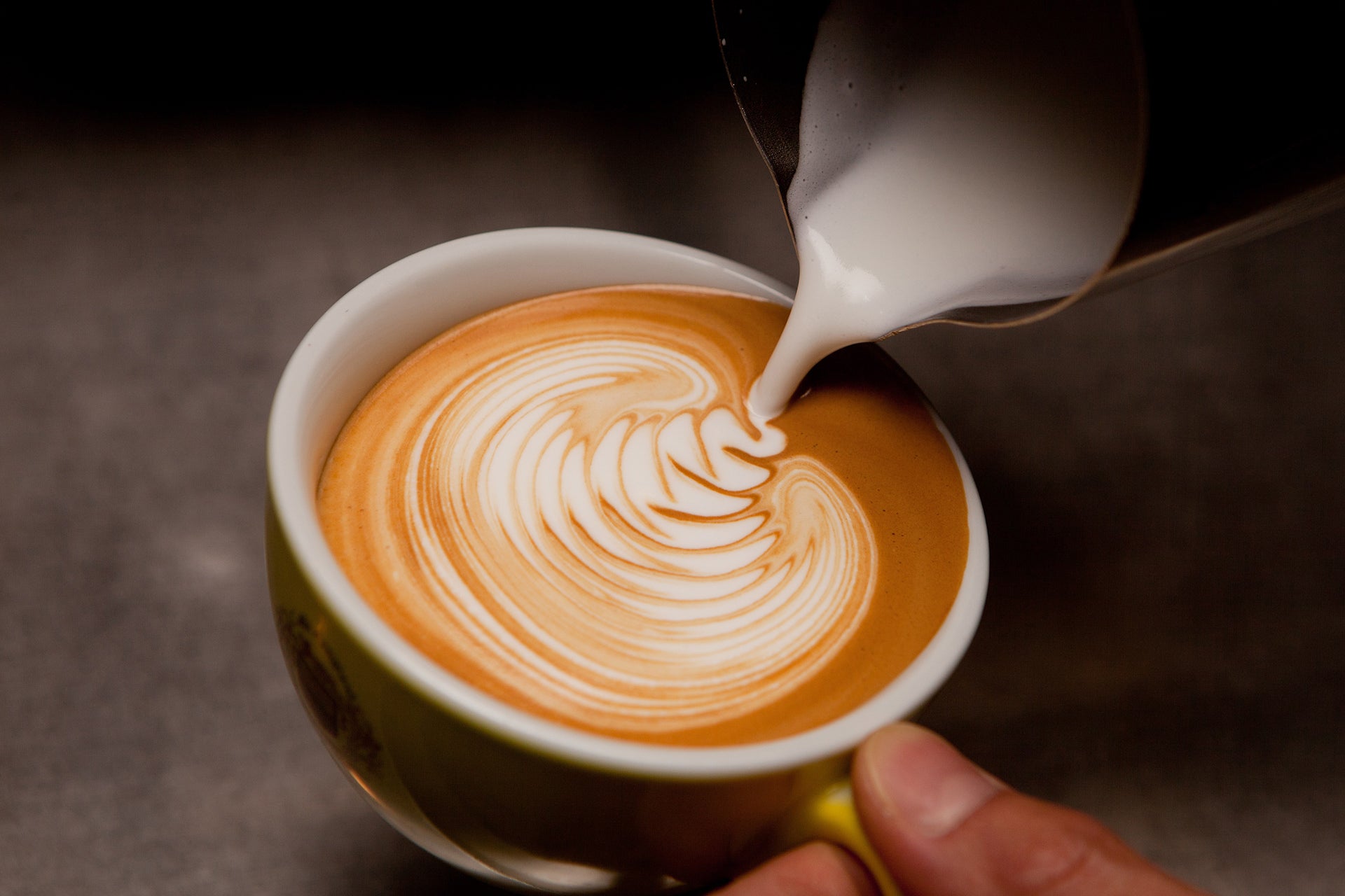 Café con leche, cappuccino, cortado o macchiato son diferentes opciones que combinan leche y café